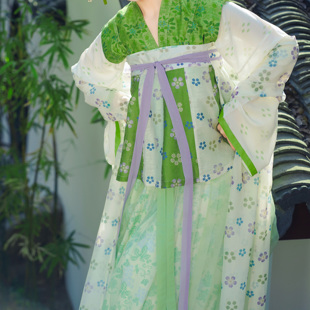 齐胸裙陌腹天丝绿色日常春 唐制汉服唐背子对襟衫 醒春集 无尽春