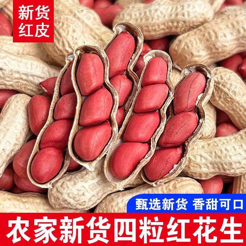 25年当季四粒红带壳生花生新货