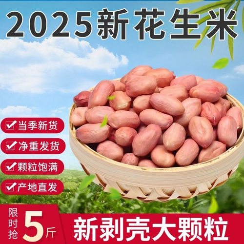 【甄选果王品质】河南2025白沙花生米粉皮精挑细选新鲜花生仁饭店