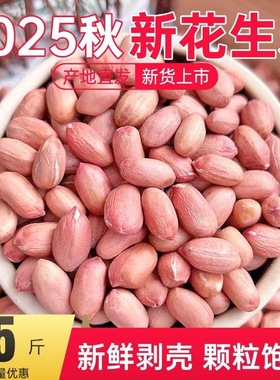 【净重】现剥新货特价精选50g无壳白沙花生米粉红皮新鲜生花生米