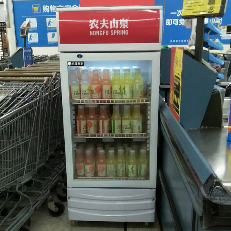食品留样柜冷藏保鲜幼儿园带锁餐厅食堂单门家用冰箱商用展示柜