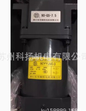 浙江佳雪微特电动机90YYJS40-4/90YYJS60-4/90YYJS90-4/90YYJS120