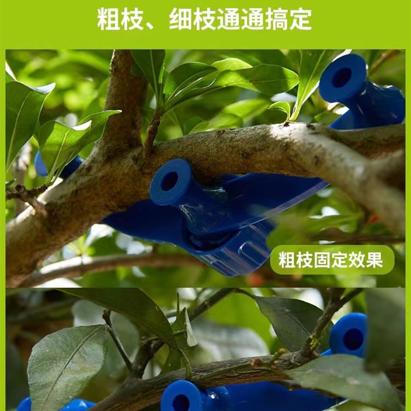 拉枝定型器盆景造型工具拿弯器植物树枝条固定弯枝苗木果树压枝器