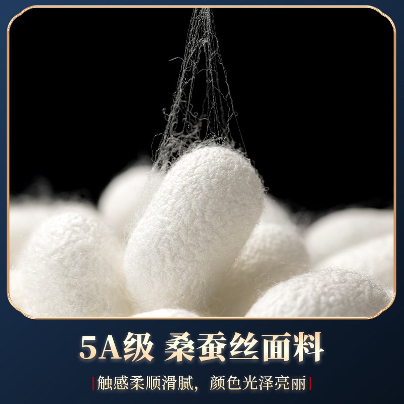 舞蹈扇青丝长绸扇真丝水墨扇渐变舞蹈扇古典舞跳舞双面款扇子