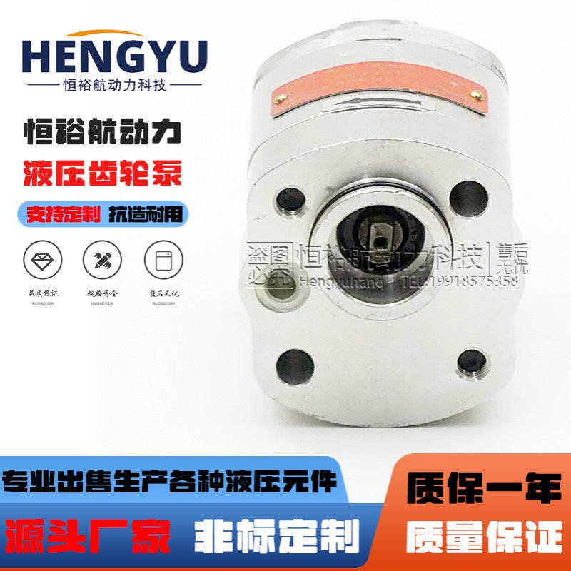 ARGO HYTOS齿轮泵 P23-3.3L.66017 GP1-7,9R-AEKC-SGBGB液压油泵