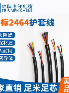 东莞多芯线厂家胜牌电线2464-24A/6C多芯线 黑色外皮彩色芯线
