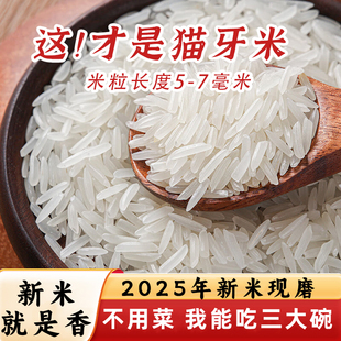 真空装猫牙米优质2025新米不抛光正宗长粒香农家自种大米10斤一袋