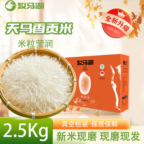 牧马湖天马香贡米猫牙长粒香米