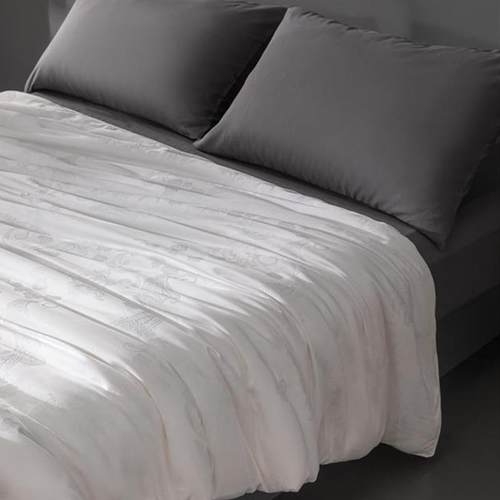 高端月华云裳天丝蚕丝被100桑蚕丝春秋保暖冬被双人被子四季通用