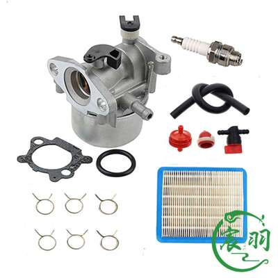 百利通Brigg Stratton 794304  799871 790845 796707 化油器