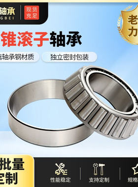 现货供应斯太尔驱动前桥轮毂内外用轴承32020 32022 2007120E