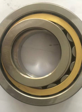 SL185010PP SL185011PP SL185016PP SL185017PP滚子轴承