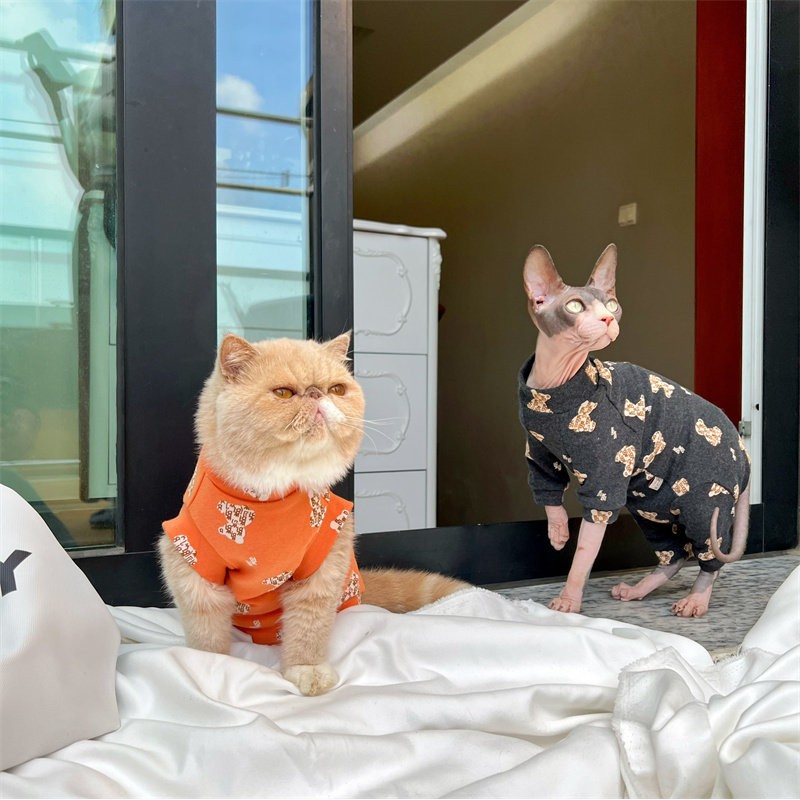 宠物猫衣服四脚连身衣无袖纯棉背心泰国矮脚猫狗冬季防掉毛绝育服图片