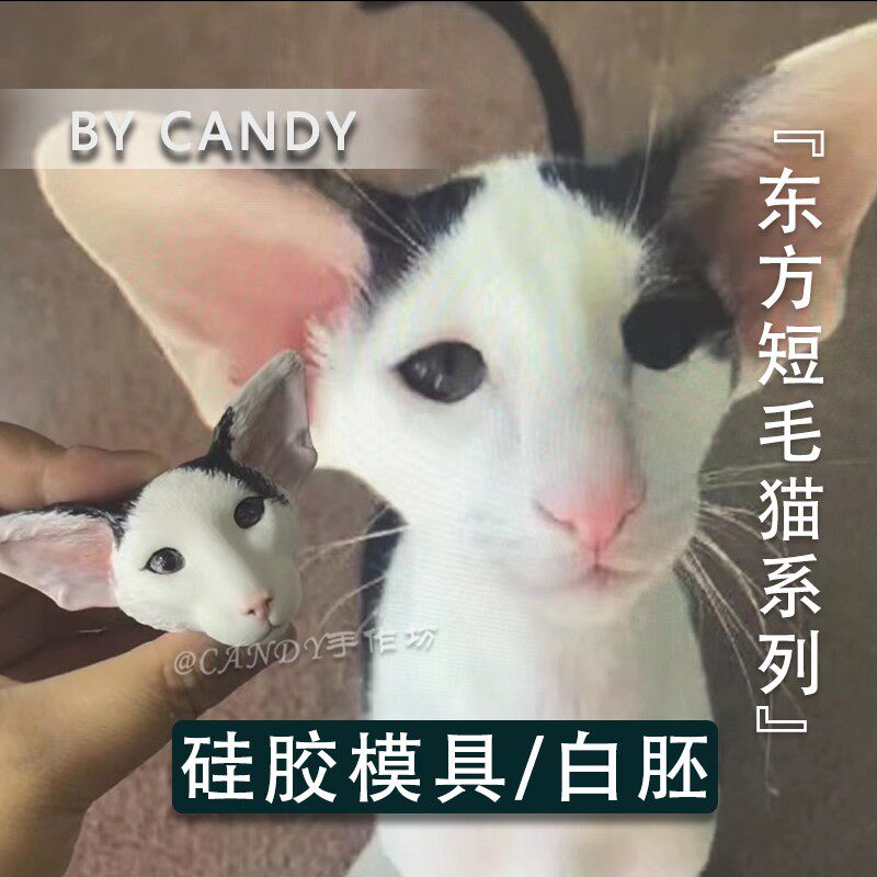 东方短毛猫 小众猫咪矽胶模具滴胶香薰diy白胚可头雕建模3D图纸
