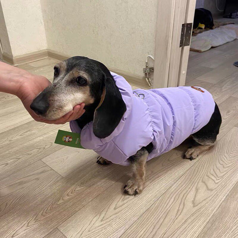 腊肠犬衣服小狗狗专用秋冬季天保暖羽绒棉服比格犬马甲秋冬款冬装
