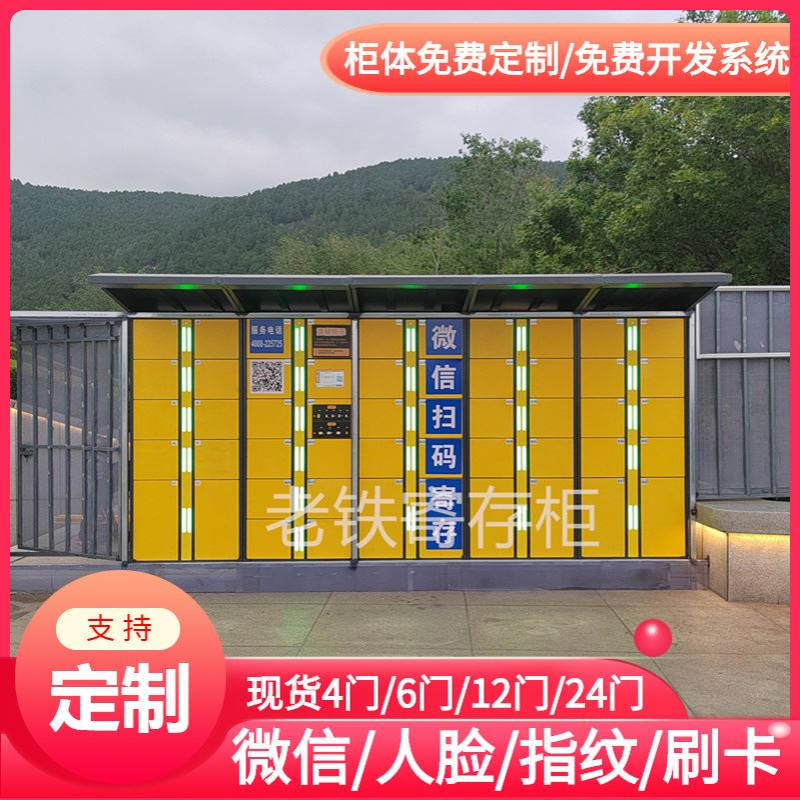 智能指纹识别储物柜/水乐园电子存包柜/联网付费柜/户外带灯光柜