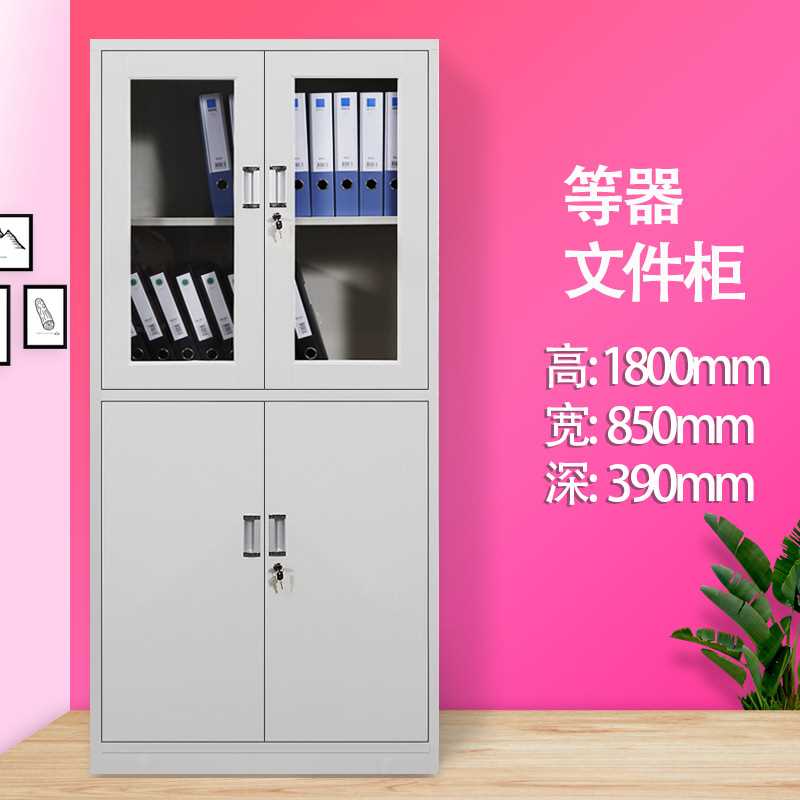 办公室文件柜铁皮柜资料柜档案柜财务凭证柜带锁储物柜员工更衣柜