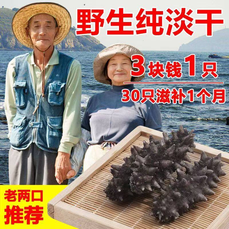 淡干野生海参干品大连海参干货干海参辽刺参滋补品送礼盒装