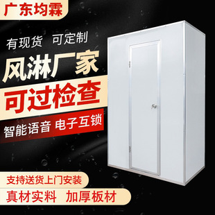 净化板风淋室风淋房现货厂房净化无尘车间单人双人双吹风淋门现货
