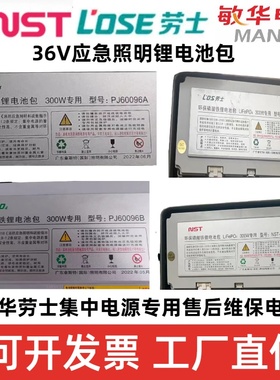 广东拿斯特锂电池PJ60096A/B/300W专用/应急照明集中电源电池欠压