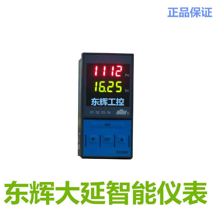 东辉仪表DY28T12D DY28T06P DY28T16P DY28T00 DY28T02-Pt100