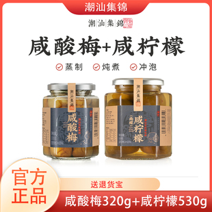 潮汕集锦咸酸梅汁普宁特产腌制咸梅子孕妇咸水梅酸浸梅青竹梅160g