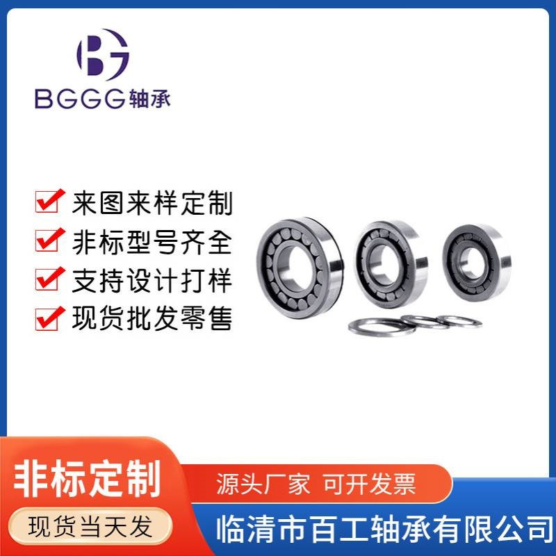 NNF SL04- 5 0 1 2 3 4  5 6 7 8 9 0 1 2 3 4 5 PP ADB-2LSV轴承