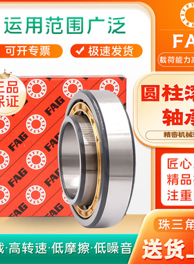 FAG NU2209-E-XL-TVP2  NU2210-E-XL-TVP2 尼龙保 圆柱滚子轴承