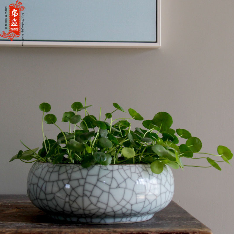 绿萝水培花瓶水养陶瓷种花盆笔洗宽口开片摆件桌面摆设鱼缸,办公设备/耗材/相关服务,其它,淘宝优惠券,粉丝福利购,淘宝优惠卷