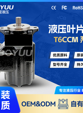 T6CCM-B31-B14-3R03-D100叶片泵  用于新能源  石油设备 厂家直销