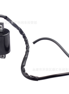 适Yamaha Virago 535 XV535 1987-1988/1990-2000高压包点火线圈