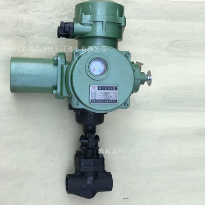 J961H/Y-64C/900LB 高压高温锻钢A105电动承插焊接闸阀截止阀DN25