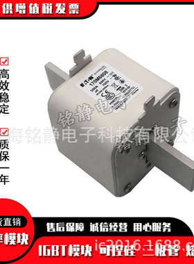 170M6067 170M6068 170M6069 170M6070巴斯曼熔断器170M6071