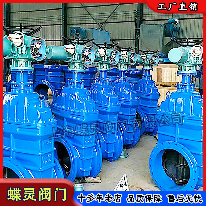 DN200软密封电动闸阀Z945X-16Q智能一体化执行器QT450材质图片