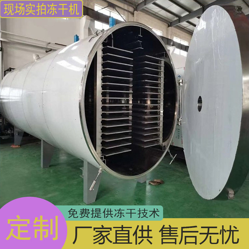 蜂蜜柠檬冻干机 综合果蔬粉真空冷冻干燥机 柚子茶真空冻干机