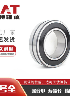 经销批发BS2B321642B调心滚子轴承水泵轴承