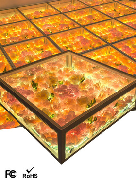 High Quality Glass Panel Mirror LED Dancing Floor Light