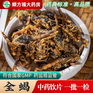 全蝎中药饮片500g药用全蝎中药材正品 蝎子全虫整条蝎子蜈蚣泡酒料