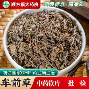 车前草中药饮片500g药用车前草中药材车前草蒲公英夏枯草车前草干