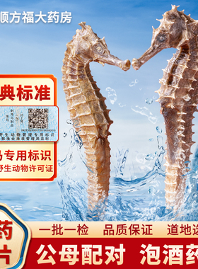海马中药材饮片一公一母公母配对海马干货炖汤料包药煲汤泡酒材