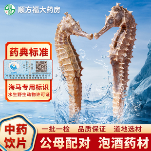 海马中药材饮片一公一母公母配对海马干货炖汤料包药煲汤泡酒材