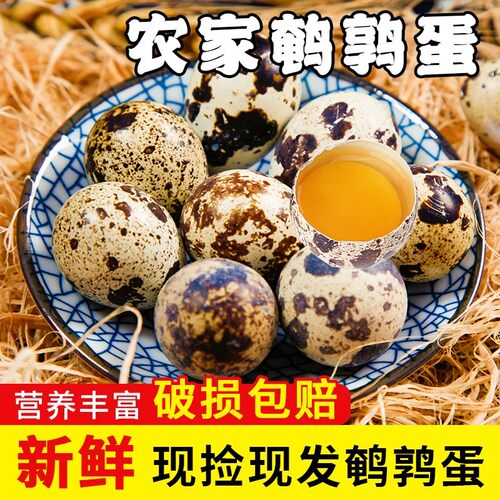 新鲜鹌鹑蛋杂粮喂养现捡现发40枚营养丰富口感细腻家禽蛋类