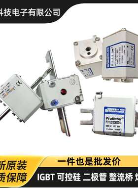 法国罗兰PC30UD69V100TF T300052 PC30UD69V125TF V300053熔断器