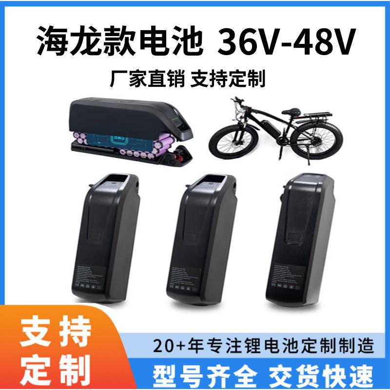 厂家直销海龙一号24V/36V/48V20ah电动自行车电池组动力款锂电池