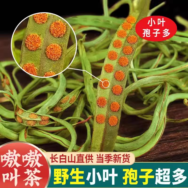 吉林长白山野生肾精草嗷嗷叫黄金草官方旗舰店化石草强经茶叶补