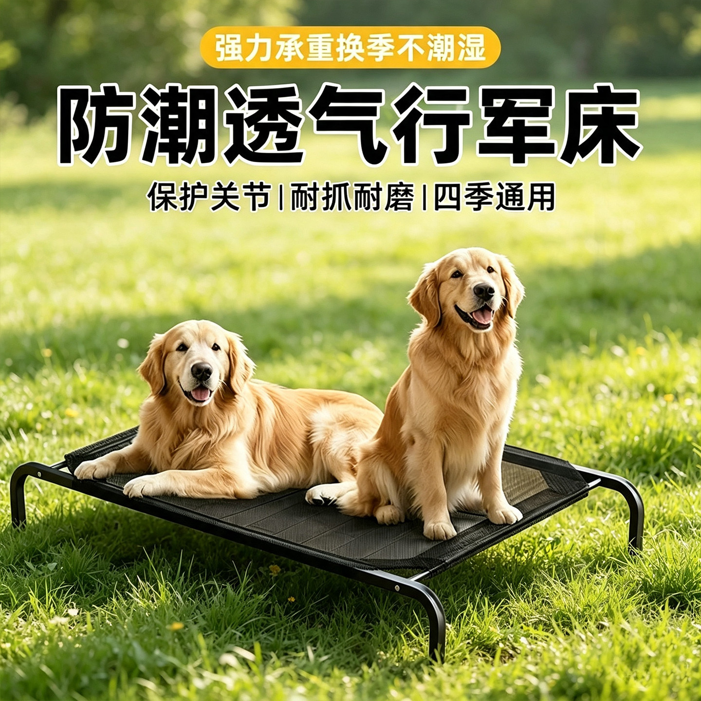 狗狗离地防潮行军床四季通用