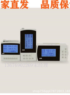 OHR-F661/F662/F663-A/B/C-2-A/D-1-D1/Y-1P/2P-01/04-01/04仪表