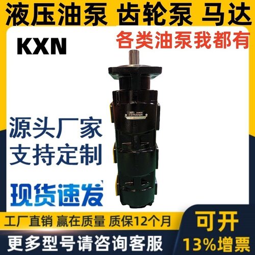 KXN液压泵齿轮泵GP60.100/100/63R01 GP 铸铁 越南车用 高压 马达
