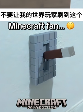 我的世界3D打印开关面板遮丑装饰