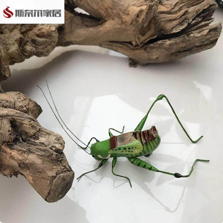 仿真昆虫蚂蚱蝈蝈蛐蛐螳螂知了模型盆景装饰泥土摆件磁性冰箱贴